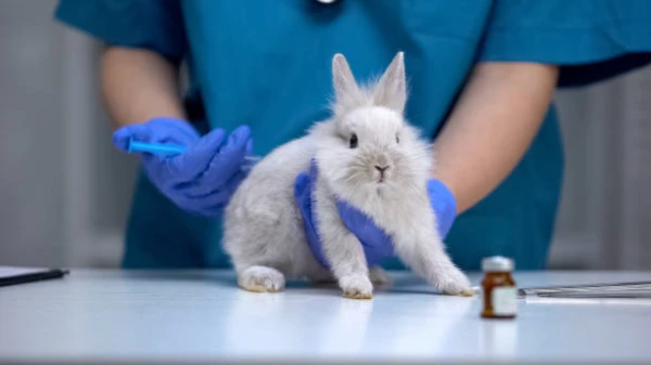 Imagem ilustrativa de Laboratório de análises clínicas veterinária